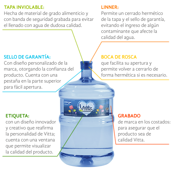 Vitta Seguridad